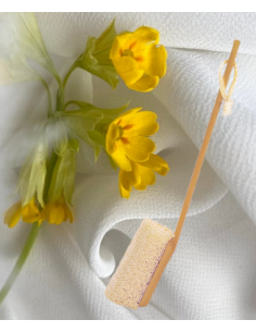 Brosse luffa avec manche démontable