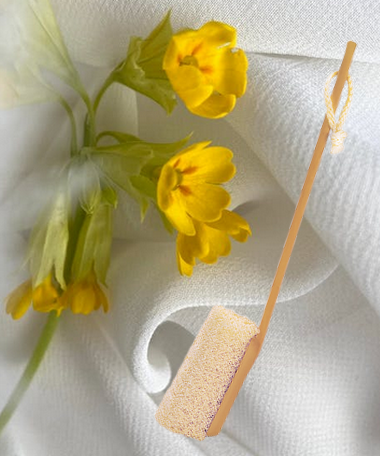 Brosse luffa avec manche démontable