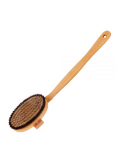 Brosse de massage énergie