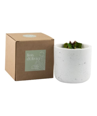 bougie bois d'olivier 40 h