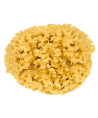 Éponge Naturelle