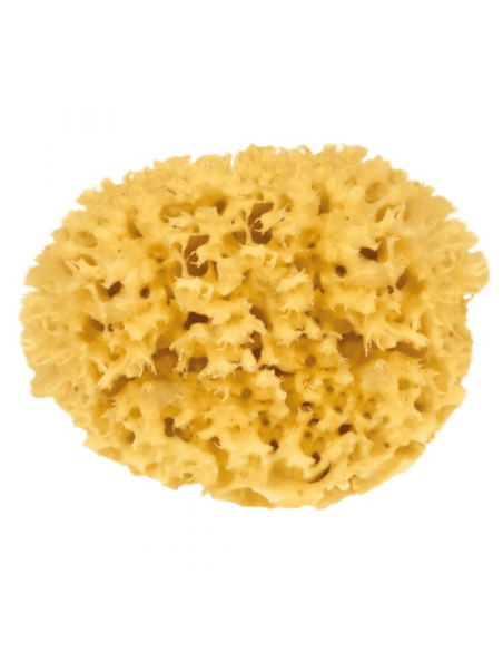 Éponge Naturelle
