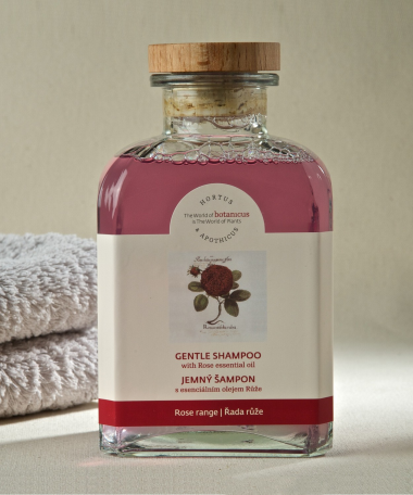 Shampoing à la Rose