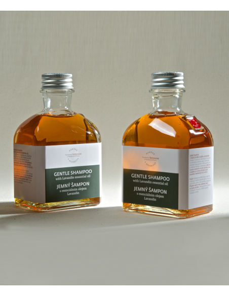 shampoing Lavande sauvage 195 ml