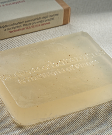 savon aromathérapie Arbre à Thé 70gr