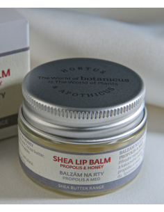 baume à lèvres Propolis, Miel 15gr