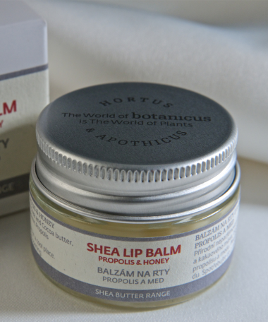 baume à lèvres Propolis, Miel 15gr