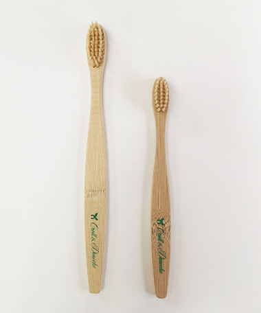 Brosse à dents grand modèle