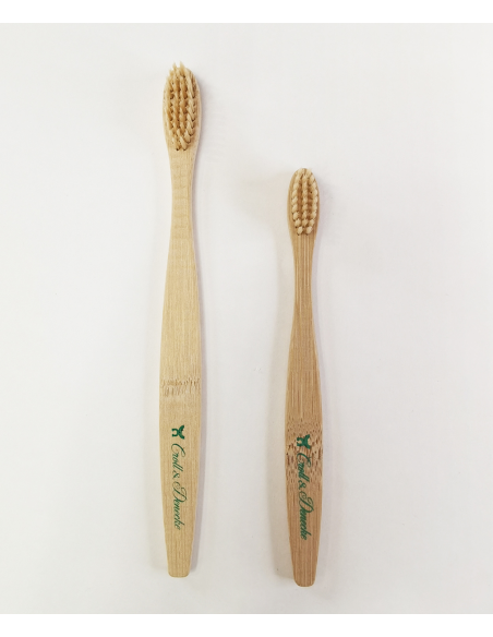 Brosse à dents grand modèle