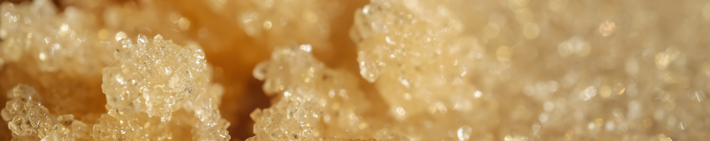 Gommages naturels et bio – peau douce, satinée et éclatante | Botanicus