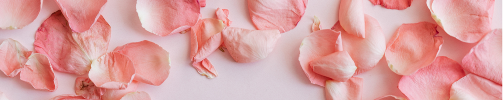 Sélection Saint-Valentin – Profitez d'un moment de bien-être