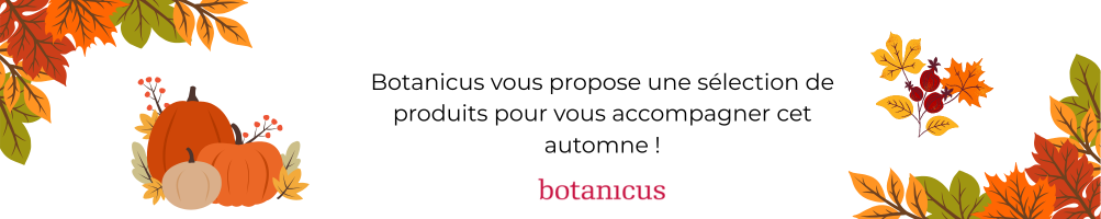 Découvrez notre collection hivernale chez Botanicus !
