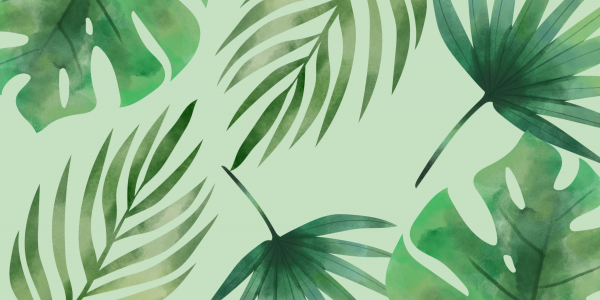 La spiruline et ses vertus 