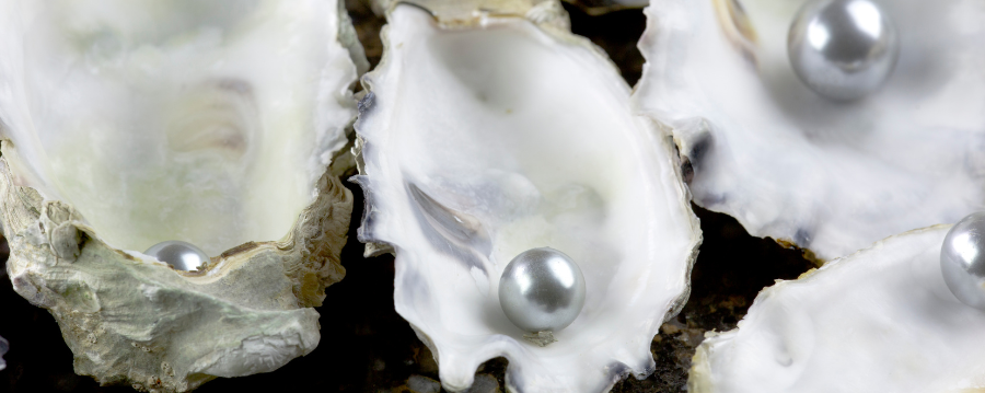 La coquille d’huître blanche : un trésor naturel